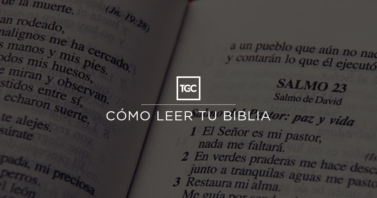 Los libros de la Biblia, cómo están organizados y de qué hablan - Biblia