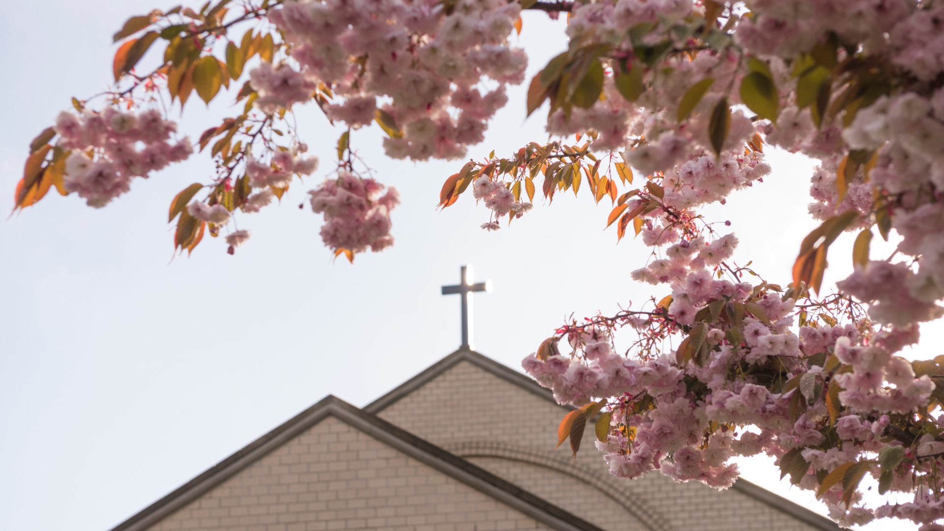 5 características de la iglesia primitiva que la hicieron única | Coalición por el Evangelio 5 características de la iglesia primitiva que la hicieron única | Coalición por el Evangelio