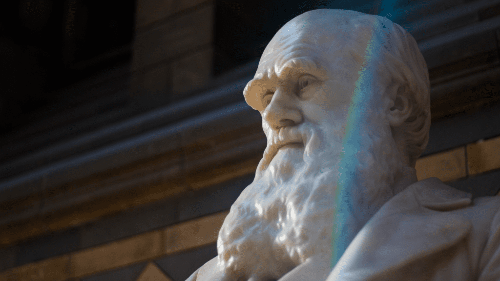 El darwinismo social: El mito que nació del evolucionismo