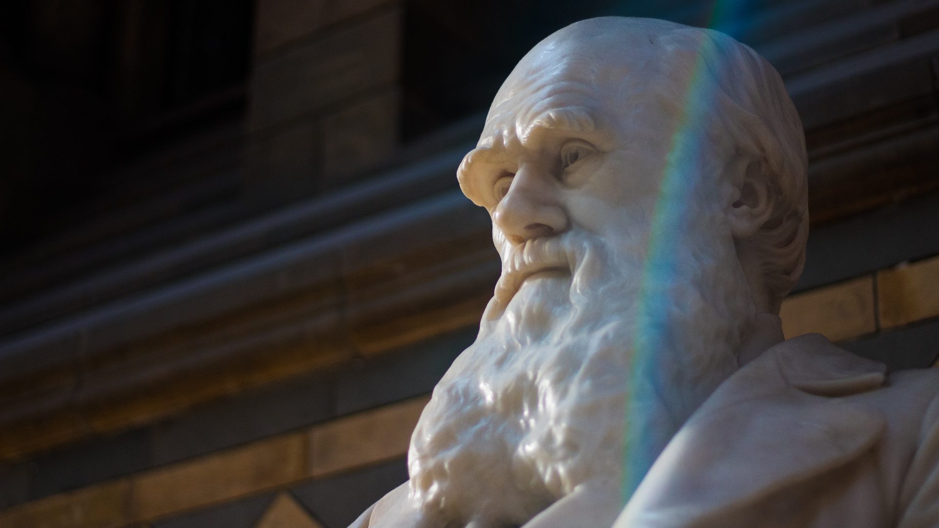 El darwinismo social: El mito que nació del evolucionismo | Coalición por  el Evangelio, image size:1920x1080