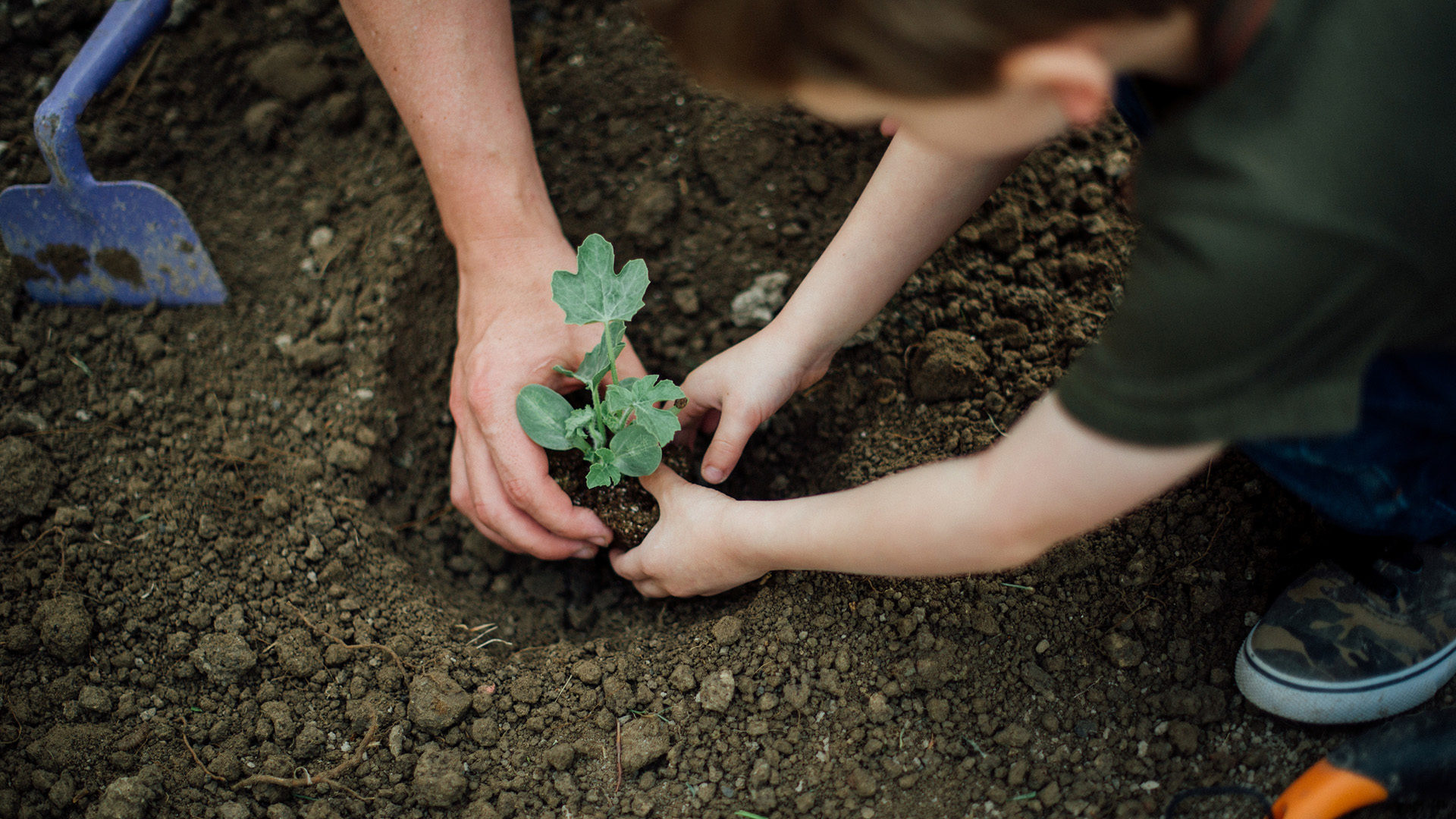 Alguien más le pone nombre a sus plantas? : r/houseplants, image size:1920x1080