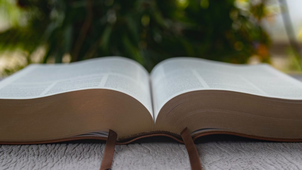 ¿De qué trata el libro de Amós?