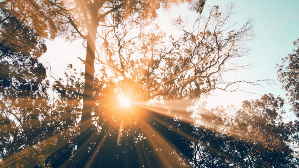 Pon tus ojos en Cristo | Devocional