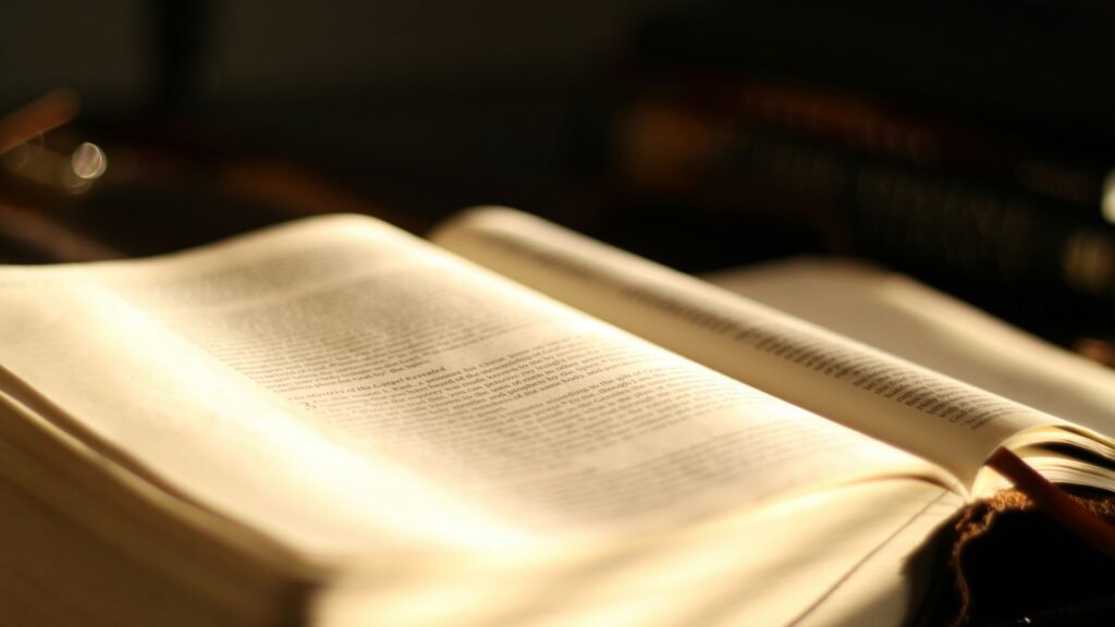 La Biblia está llena...