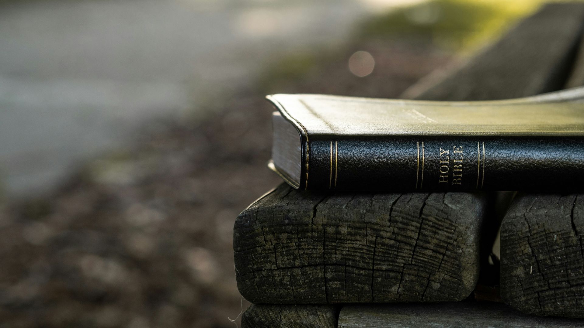 MasterYoung (@masteryoungcl) • Instagram photos and videos, image size:1920x1080