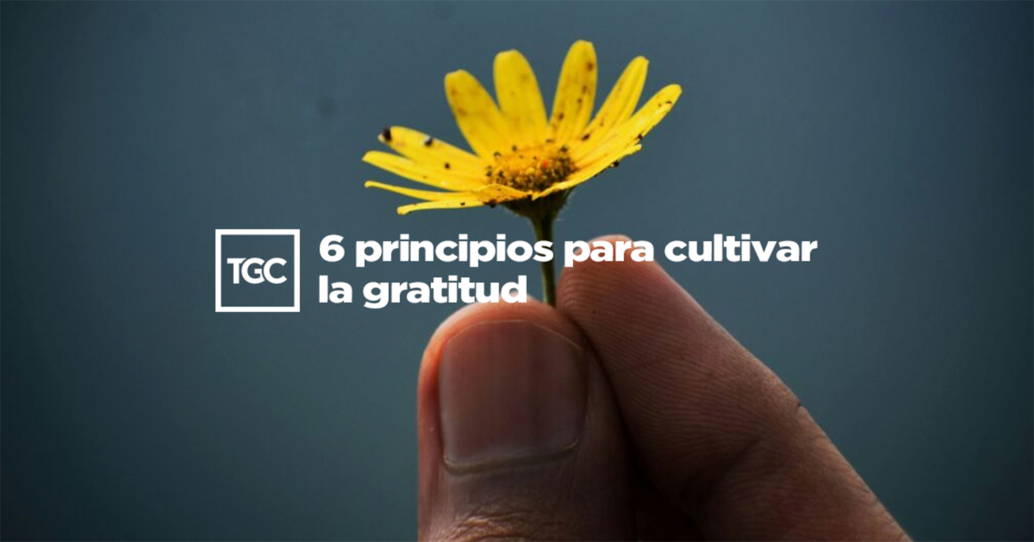 6 principios para cultivar la gratitud | Coalición por el Evangelio