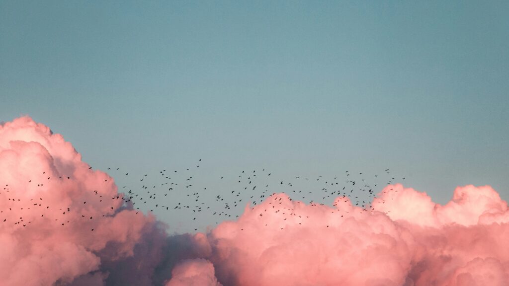 Deístas que aman a Jesús (y hablan como Freud)