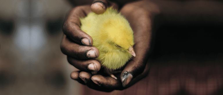 Can Christians be Bewitched