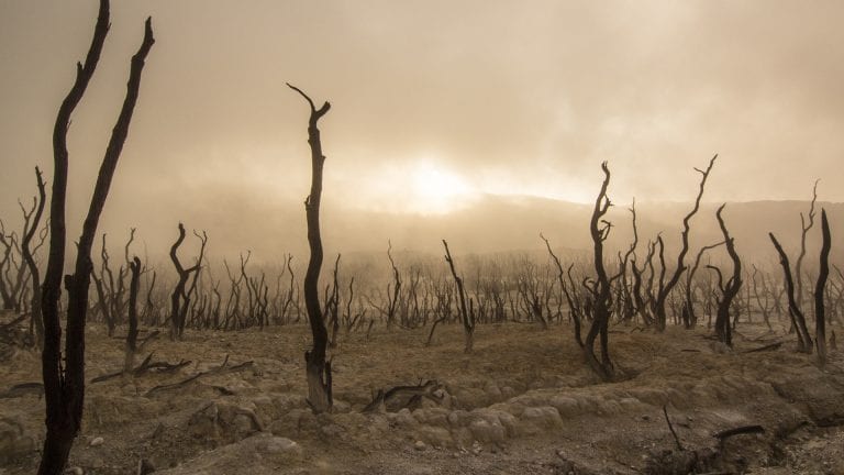 Looking for new leaders - a barren landscape with mist, but the sun is breaking through on the horizon