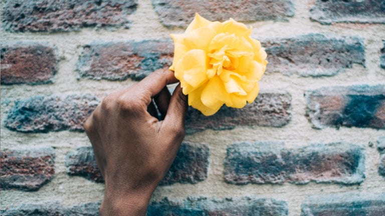 I asked God to take my life: Woman's hand holding a yellow rose against a brick wall