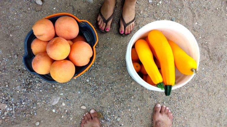 Christian growth makes you truly fruitful: African feet either side of two bowls of fruit and veg