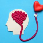 Loving God with your mind - A brain organ connected to a heart, made out of play dough