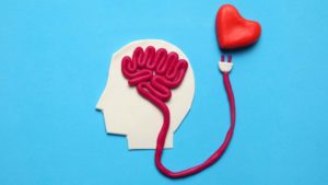 Loving God with your mind - A brain organ connected to a heart, made out of play dough