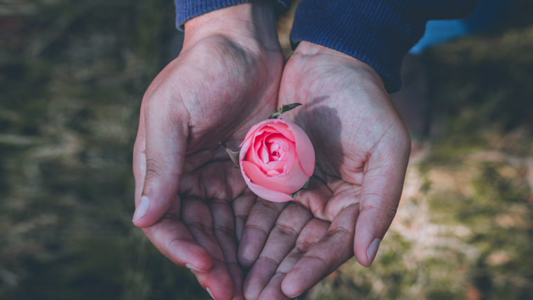 Pastoring Divorcees and singles - Two hands holding a single rose