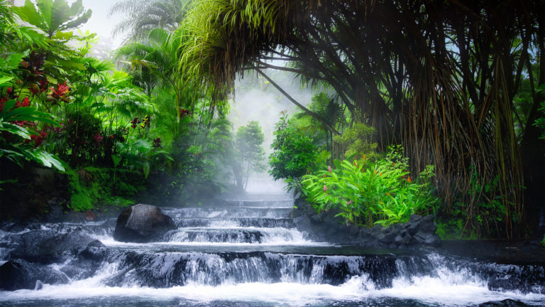 The Sabbath - A tropical Garden with waterfall