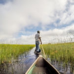 Seasons of life - A man standing in his boat on the water, steering the boat through grasslands.