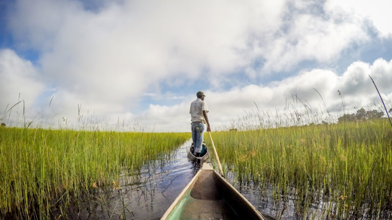 Seasons of life - A man standing in his boat on the water, steering the boat through grasslands.