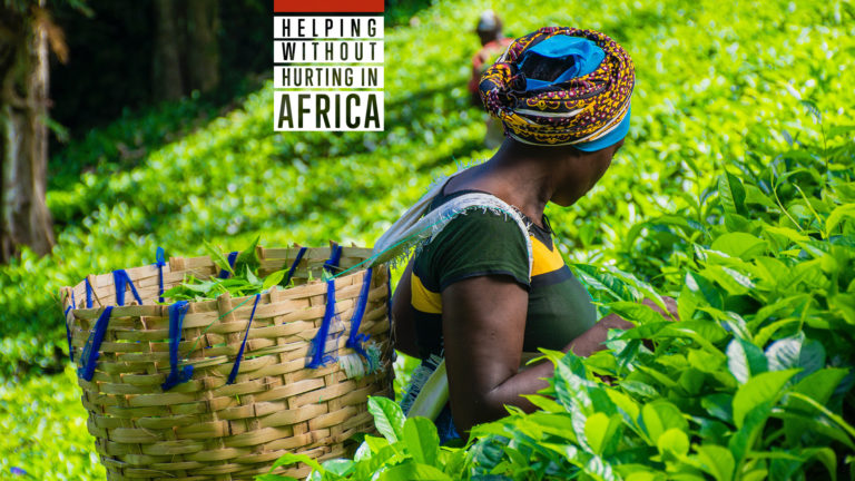 Labour/working - A woman picking tea leaves in a field