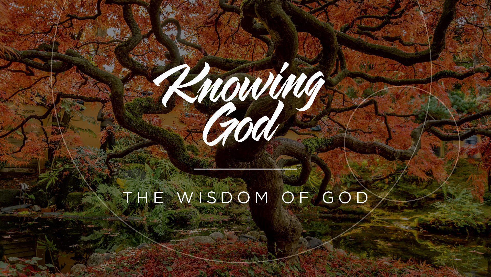 Life Is Ruled by the Wisdom of God, Rely on It in Death - TGC Africa
