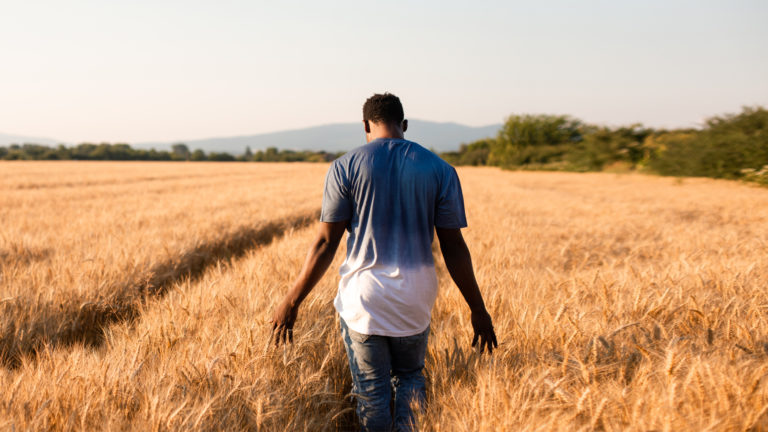 Mental Health (African perspective) - A man walking through a wheat field