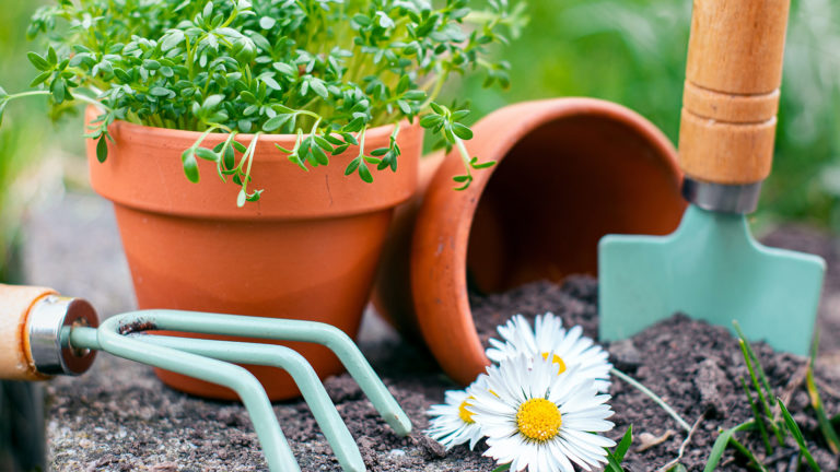 Growing friendships - A pot plant and some garden tools