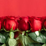 Valentines day - A bunch of red roses on red background