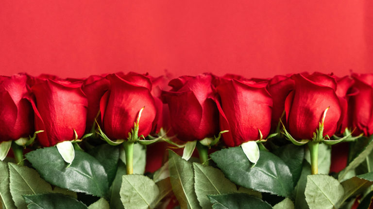 Valentines day - A bunch of red roses on red background