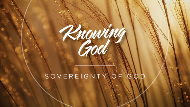 Attributes of God: Sovereignty of God – A background image of wheat in a field