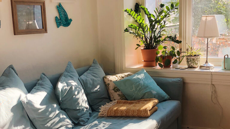 Homemaking and contentment - A comfy couch by a window pane with a pot plant in the background