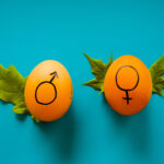 Gender and Jesus - Two eggs each with a male and female symbol on it