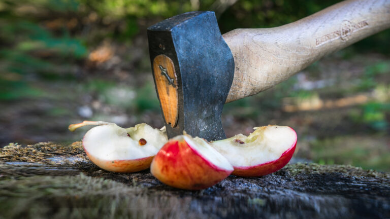 Sin - An axe chopping an apple