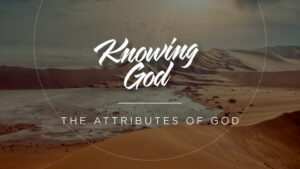 Attributes of God Series: The Namibian desert, with birds flying the background.