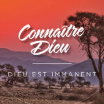 God is Immanent: A safari desert with bare trees. With sun in the background and a pink sky.