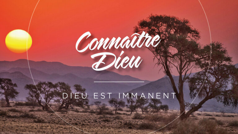 God is Immanent: A safari desert with bare trees. With sun in the background and a pink sky.