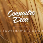 Sovereignty of God: A picture of a wheat farm. The wheat is blowing in the wind.