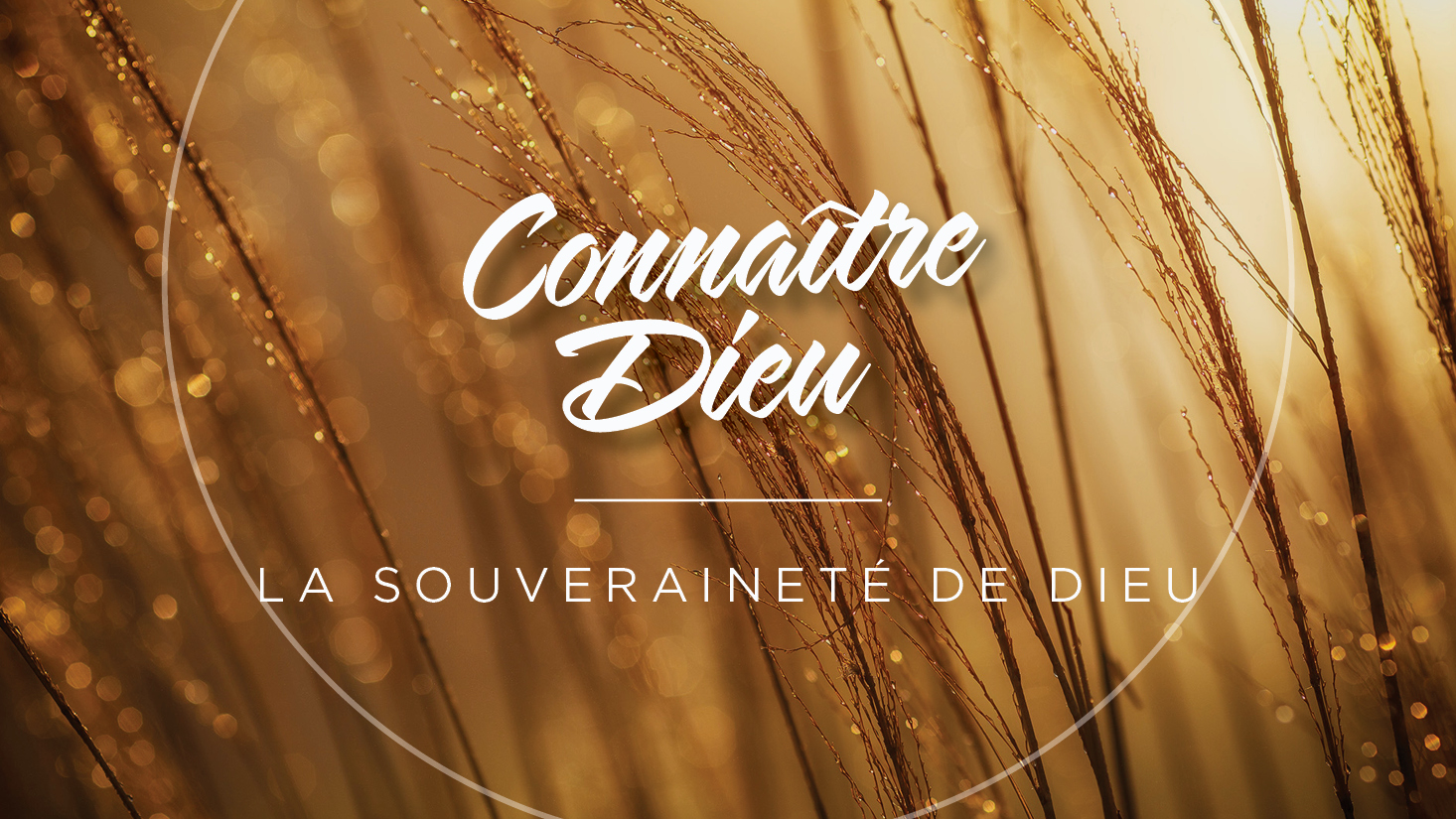 Sovereignty of God: A picture of a wheat farm. The wheat is blowing in the wind.