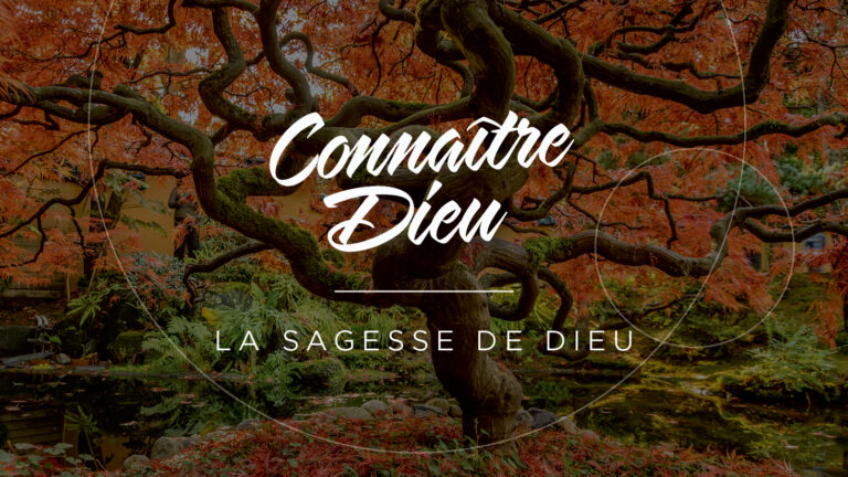 Wisdom of God: An old strong tree with red/orange leaves by a pond.