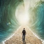 êxodo Coalizão pelo Evangelho